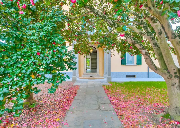 Tagini Timeless Elegance And Style - Happy דירה